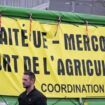 Des agriculteurs, manifestants de la Coordination rurale, devant le Parlement européen de Strasbourg le 19 décembre (ARCHIVES)