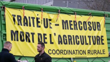 Des agriculteurs, manifestants de la Coordination rurale, devant le Parlement européen de Strasbourg le 19 décembre (ARCHIVES)