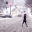 Wintereinbruch: Sieben US-Bundesstaaten rufen wegen Schnee und Blitzeis Notstand aus