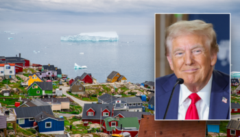 Trump escalates plans to acquire Greenland after resident pleads: 'Denmark's using us'