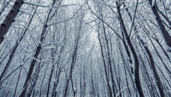 La neige arrive dans ces départements loin de la montagne, deux scénarios possibles