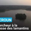 Un chercheur camerounais à la rescousse des lamantins d’Afrique