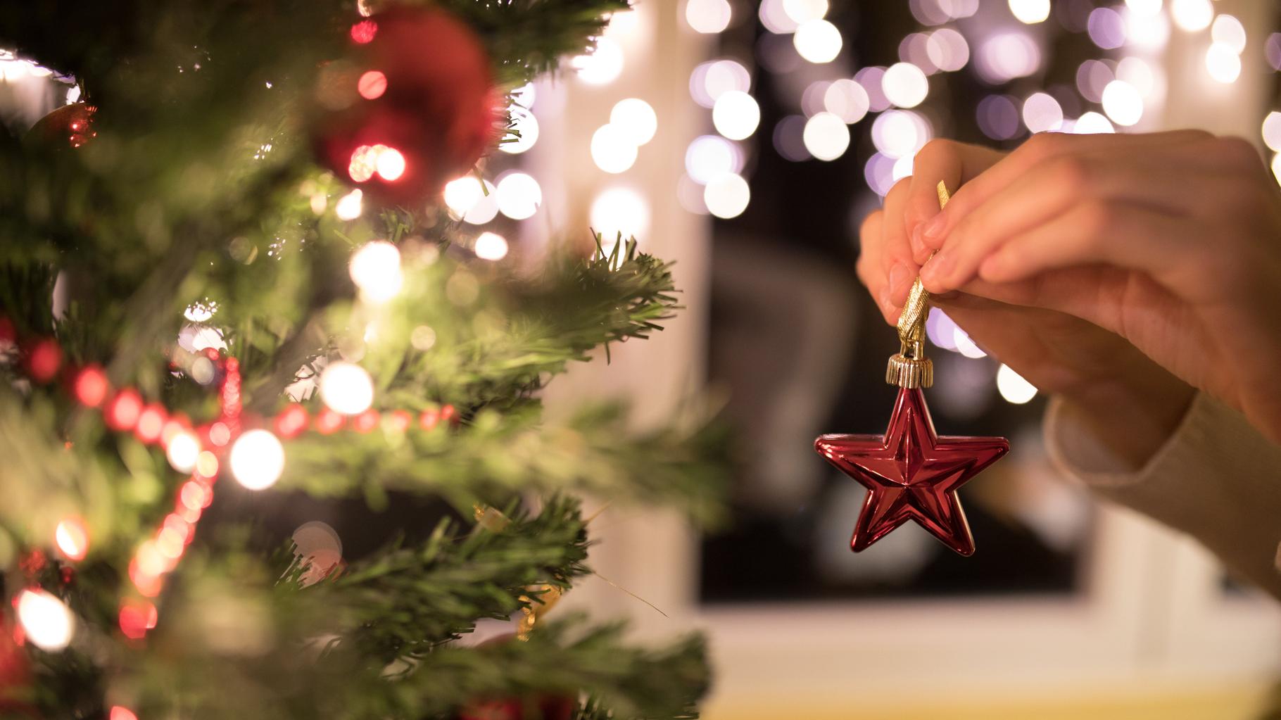 En Belgique, la ville de Gand invite les habitants à manger leur sapin de Noël et se fait recadrer