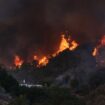 Second Los Angeles-area fire breaks out as firefighters battle raging Palisades inferno