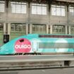 Transports : des TGV Ouigo à la dérive ?