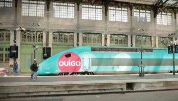 Transports : des TGV Ouigo à la dérive ?