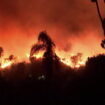 Pacific Palisades wildfires rage through Los Angeles hillside destroying homes