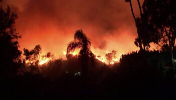 Pacific Palisades wildfires rage through Los Angeles hillside destroying homes