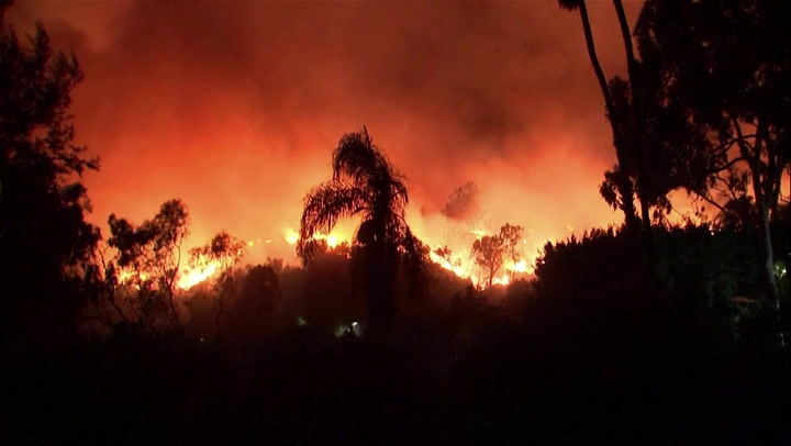 Pacific Palisades wildfires rage through Los Angeles hillside destroying homes