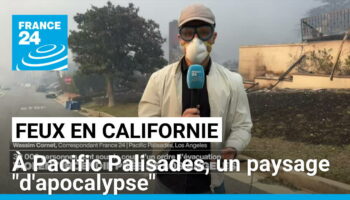 Un paysage "d'apocalypse" : à Los Angeles, le quartier Pacific Palisades dévasté par un incendie