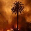 Les Critics Choice Awards annulés à Los Angeles à cause des incendies qui ravagent la ville