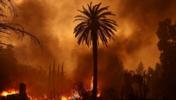 Les Critics Choice Awards annulés à Los Angeles à cause des incendies qui ravagent la ville