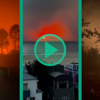 Incendies à Los Angeles : les images de Pacific Palisades envahissent les réseaux sociaux, et elles sont effrayantes