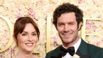 Adam Brody, Leighton Meester and Diane Warren among celebrities whose homes burned in LA fire