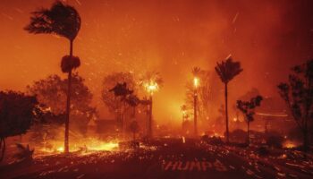 Los Angeles: Mindestens fünf Menschen bei Bränden in und um Los Angeles gestorben