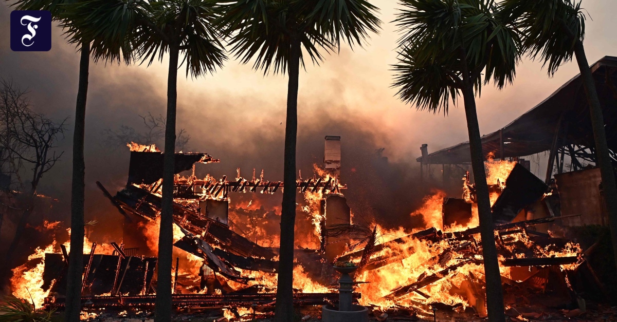 Feuersbrünste sorgen für eine Schneise der Verwüstung