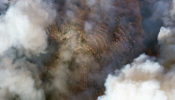 Incendies à Los Angeles : ces cartes illustrent à quel point la ville américaine est cernée par les flammes