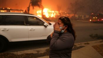 Waldbrände in den USA: Flucht vor dem Feuersturm