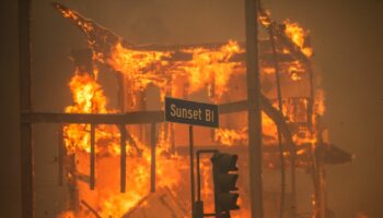 Incendies à Los Angeles : des villas de stars en flammes, Hollywood paralysé et les Oscars perturbés