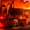 Incendie à Los Angeles : le porte-parole de la Fédération nationale des sapeurs-pompiers de France qualifie le feu de "catastrophique"