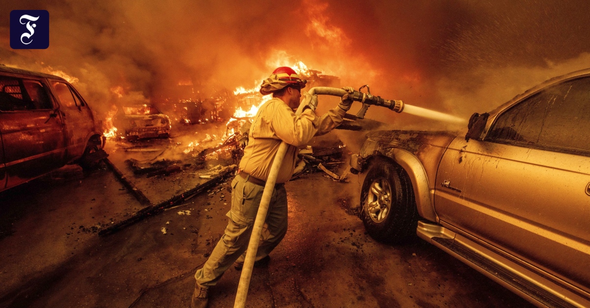 Feuer in Los Angeles: Prominente auf der Flucht