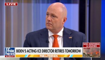 Retiring ICE chief says Biden should have acted 'earlier' to address migrant surge