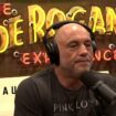 Flashback: Rogan warned last summer about a future wildfire ‘burning through LA all the way to the ocean'