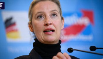 Liveblog zur Bundestagswahl: Weidel im Gespräch mit Musk: „Hitler war Kommunist“