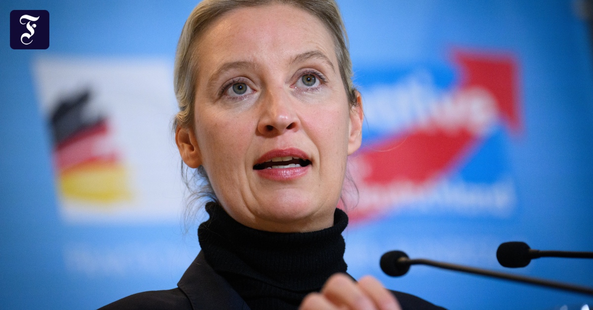 Liveblog zur Bundestagswahl: Weidel im Gespräch mit Musk: „Hitler war Kommunist“