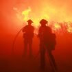 Incendies à Los Angeles : près de 400 détenus, formés à la lutte contre le feu, déployés sur le terrain