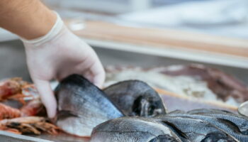 Ce poisson qu'on consomme tous est dangereux pour la santé, il ne faut pas en abuser selon une étude