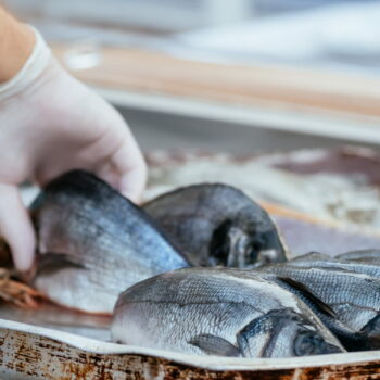 Ce poisson qu'on consomme tous est dangereux pour la santé, il ne faut pas en abuser selon une étude