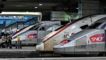 La SNCF va devoir retirer l’obligation de cocher « Madame » ou « Monsieur » pour acheter un billet