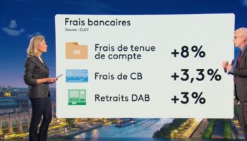 Frais bancaires : 5% de hausse, 135 euros en moyenne, banques plus chères que d'autres... À quoi faut-il s'attendre ?