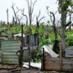 Fortes pluies, vents violents… Mayotte placée en pré-alerte cyclonique