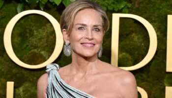 Incendies à Los Angeles : Sharon Stone prête à accueillir des victimes, d’autres stars se mobilisent