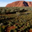 Australie : voyage en terres aborigènes