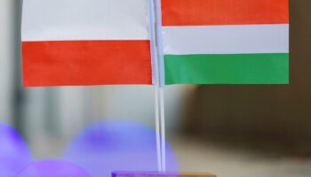 Hongrie-Pologne, une réconciliation impossible ?