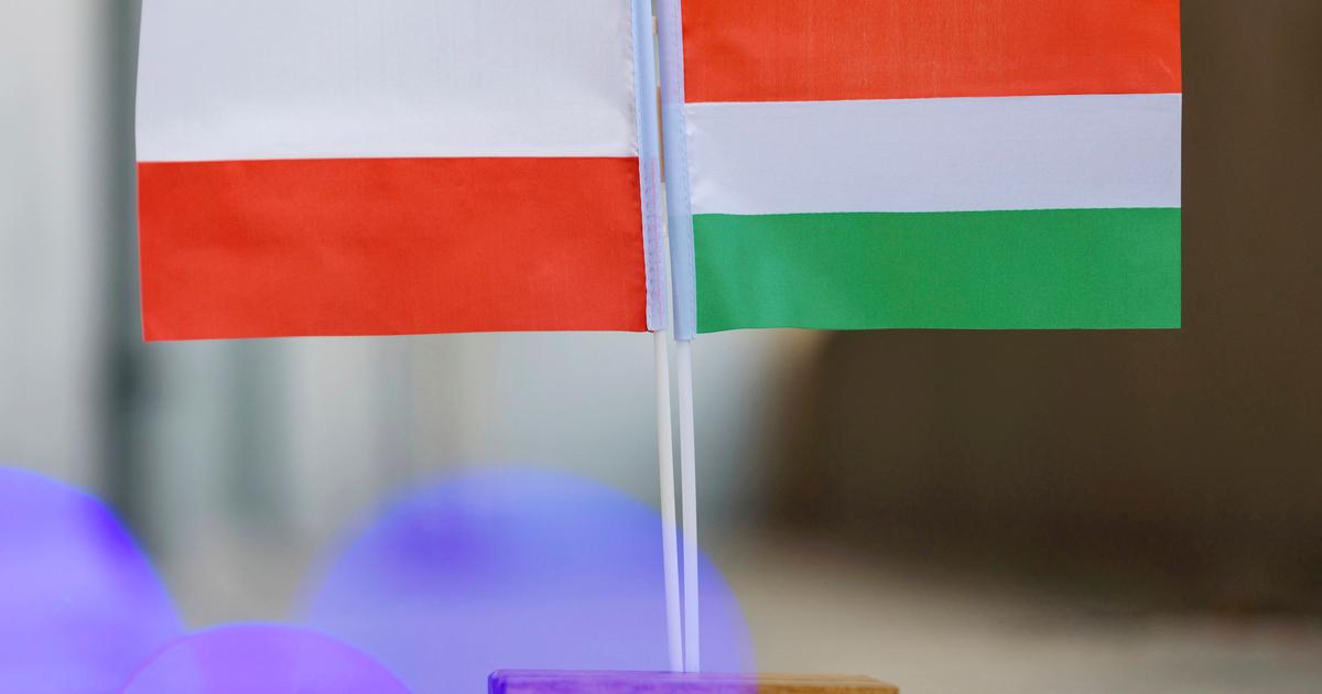 Hongrie-Pologne, une réconciliation impossible ?