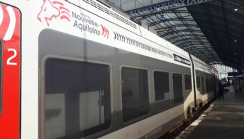 Landes : plusieurs TER et TGV retardés à cause d'un vol de câbles vendredi soir