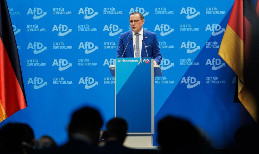 Bundestagswahl 2025: AfD zielt auf mehr als 20 Prozent bei Bundestagswahl