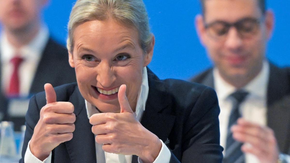 „Ich möchte mich bedanken bei Elon Musk, der diesen Parteitag streamt“, sagt Alice Weidel