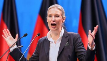 Alice Weidel hält eine Rede auf dem AfD-Parteitag