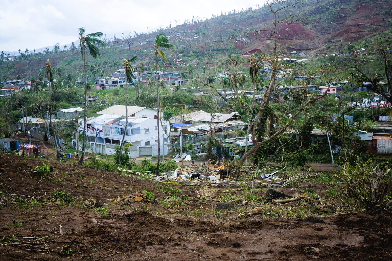 Un nouveau cyclone s'approche de Mayotte, moins d'un mois après Chido