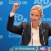 As the AfD elects its chancellor candidate, the far-right party looms large over German politics