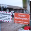 Ausbruch in Büffelherde: Klarheit über Virustyp der Maul- und Klauenseuche