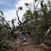 Cyclone Dikeledi à Mayotte : l'alerte rouge est entrée en vigueur sur l'archipel