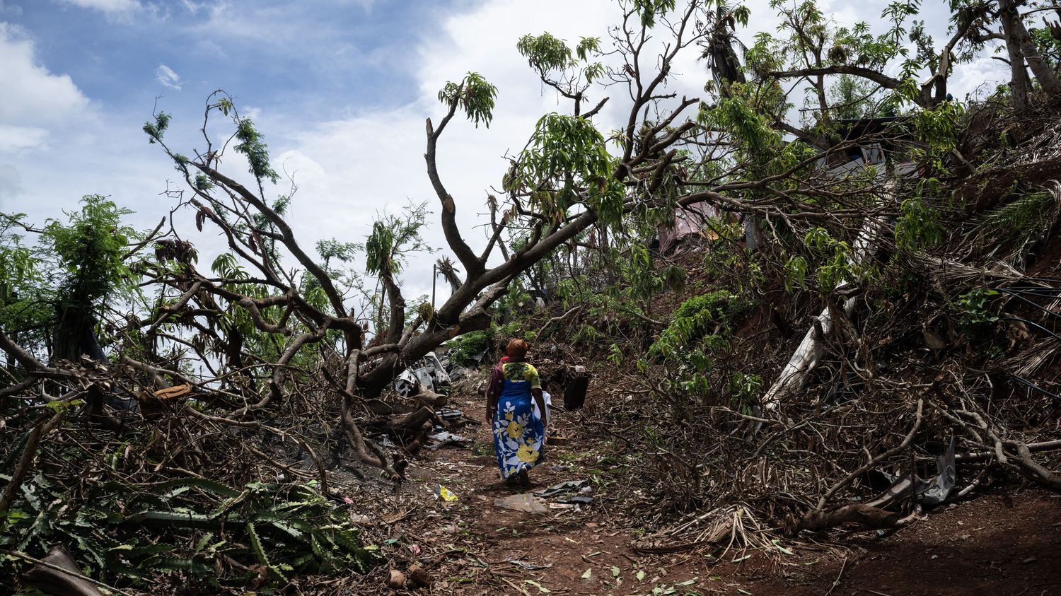 Cyclone Dikeledi à Mayotte : l'alerte rouge est entrée en vigueur sur l'archipel