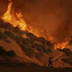 EN IMAGES - En Californie, les pompiers face aux flammes