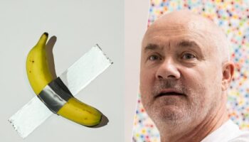 Damien Hirst says banana taped to wall is ‘serious art’